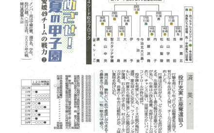 めざせ！夏の甲子園　愛媛49チームの戦力（２）第４シード校のブロック　済美