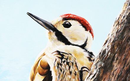 令和8年度用　愛鳥週間ポスター【銅賞】